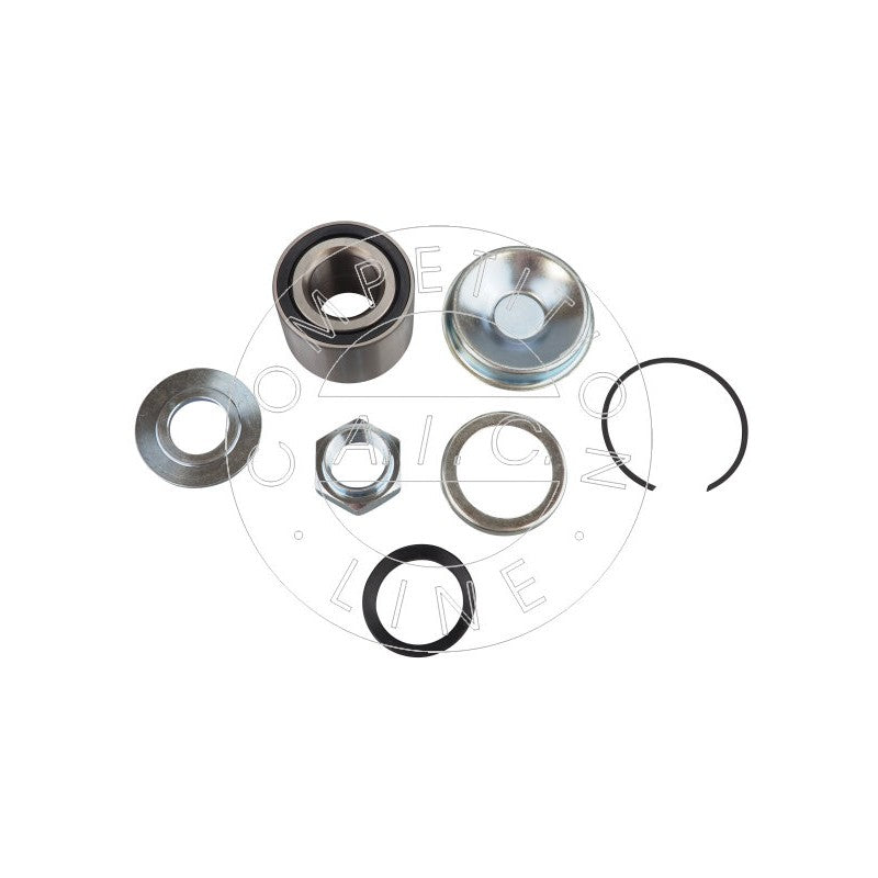 Kit rulment roata AIC 59580