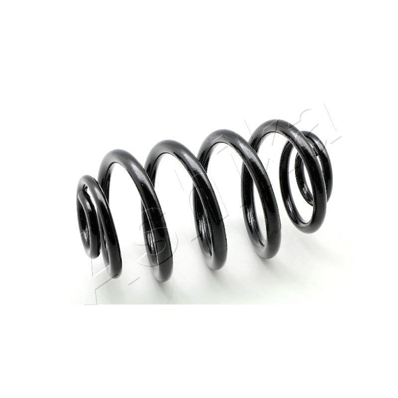Arc suspensie Ashika ZCA5209J
