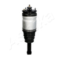 Amortizor pneumatic Ashika MA-AS020