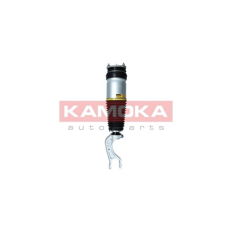 Amortizor pneumatic KAMOKA 2070007