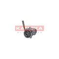Pompa servodirectie KAMOKA PP198