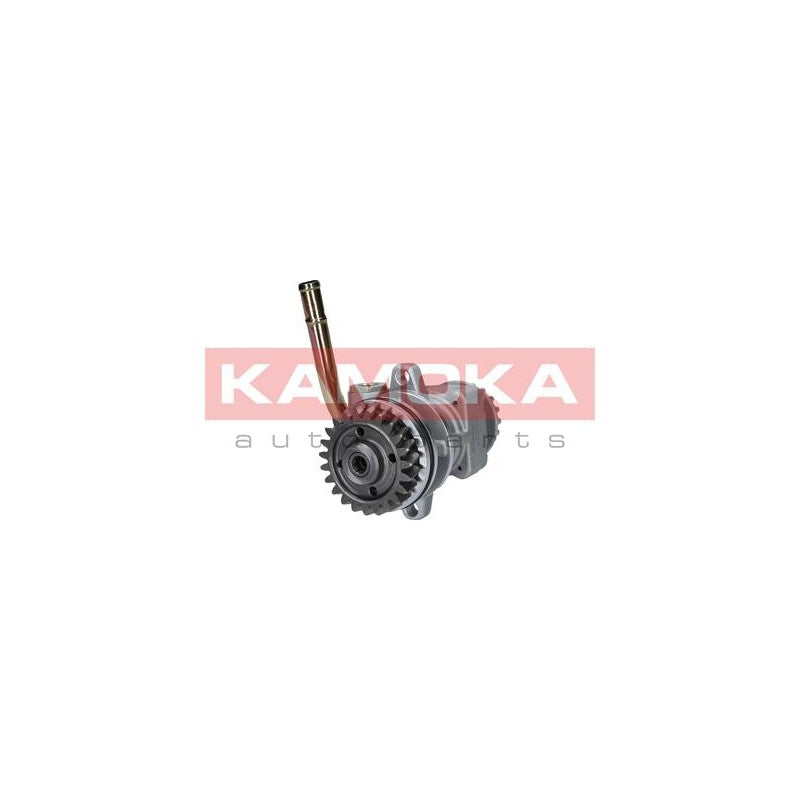 Pompa servodirectie KAMOKA PP198