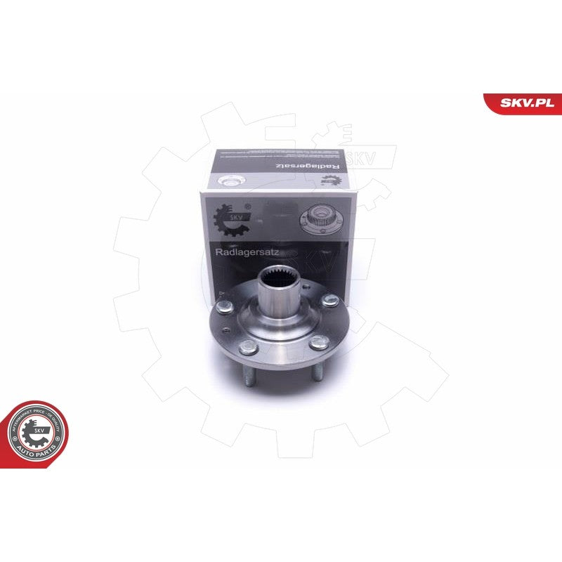 Kit rulment roata ESEN SKV 29SKV459