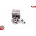 Kit rulment roata ESEN SKV 29SKV019