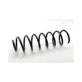 Arc suspensie Ashika ZCA6978A
