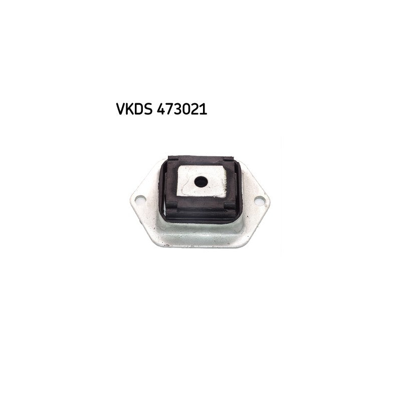 Punte SKF VKDS 473021