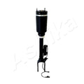 Amortizor pneumatic Ashika MA-AS003