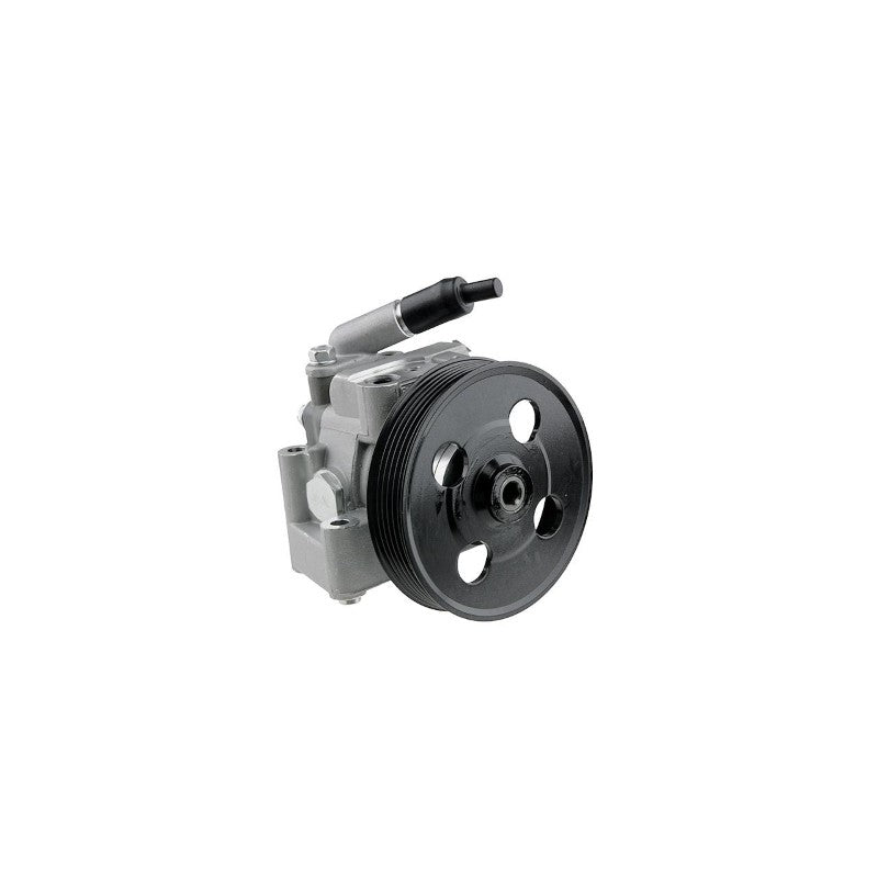Pompa servodirectie MTR 12157675