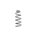 Arc elicoidal MTR 12108717