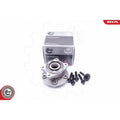 Kit rulment roata ESEN SKV 29SKV175