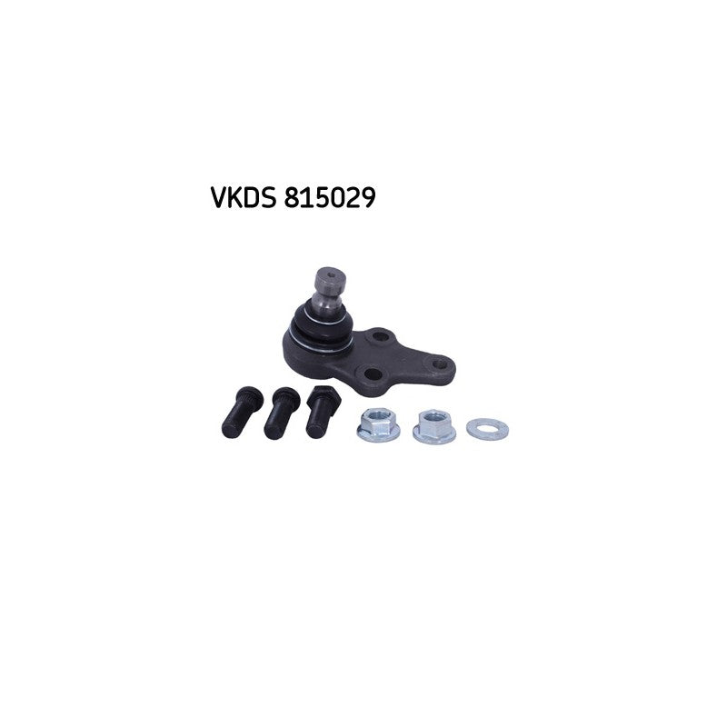 Pivot SKF VKDS 815029