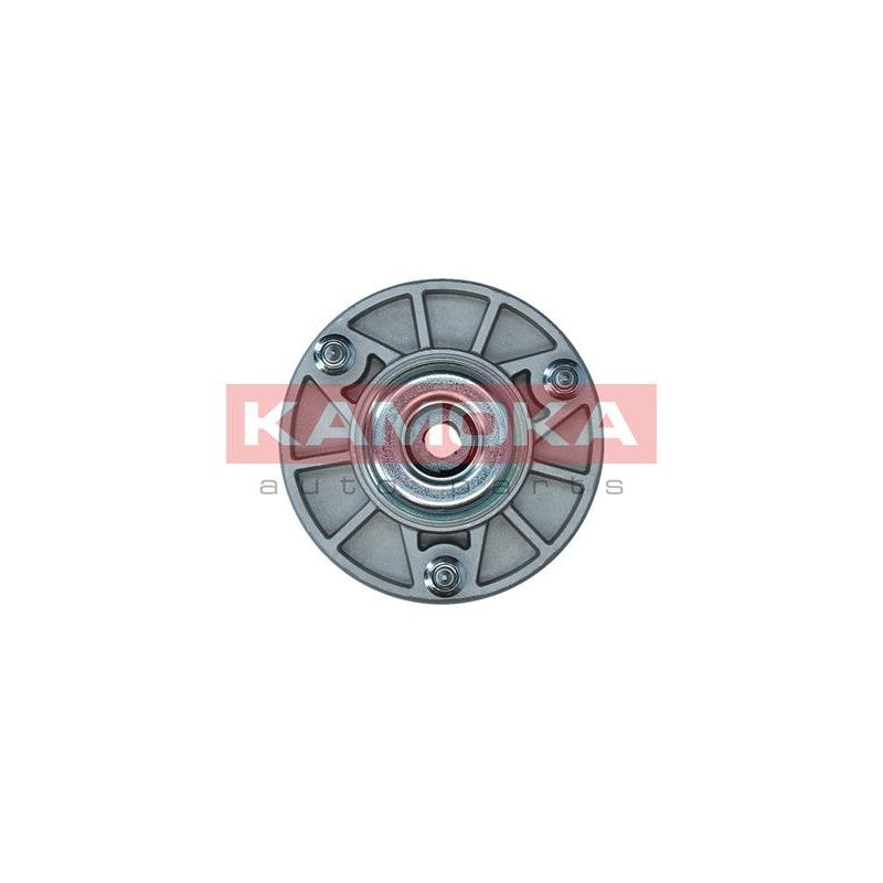 Kit reparatie flansa amortizor KAMOKA 209321