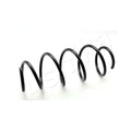 Arc suspensie Ashika ZCA3348A