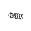 Arc elicoidal MTR 12108667
