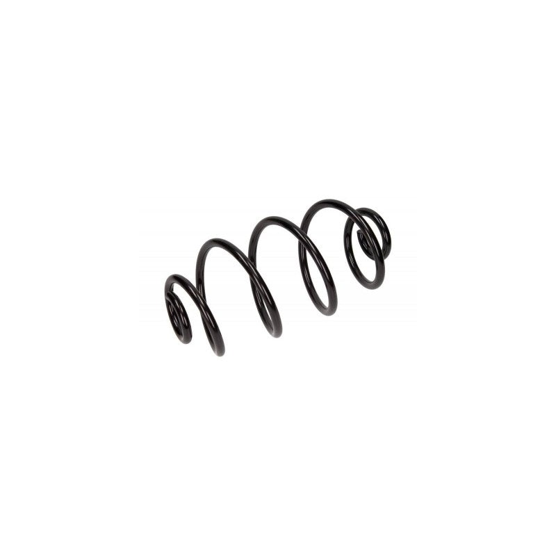 Arc elicoidal MTR 12108690