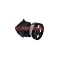Pompa servodirectie KAMOKA PP134