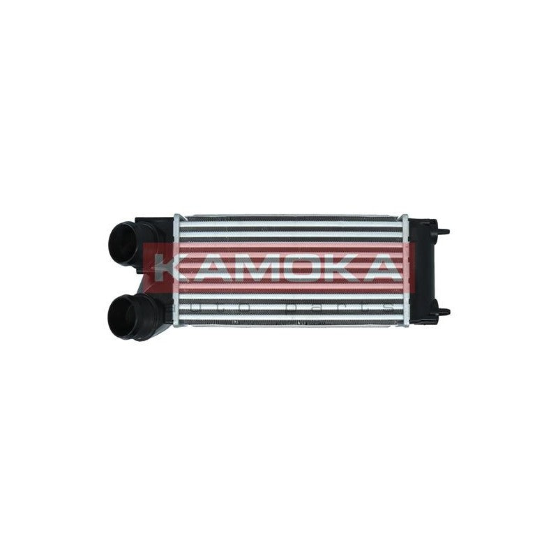 Intercooler KAMOKA 7750119