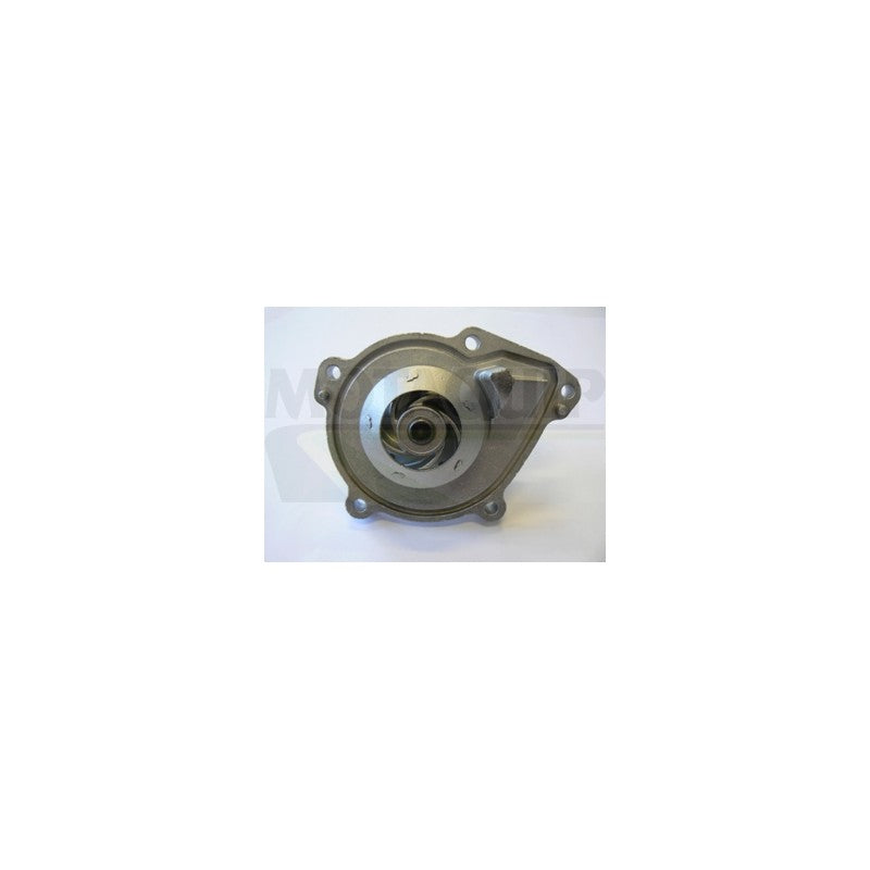 Pompa apa MOTAQUIP VWP923