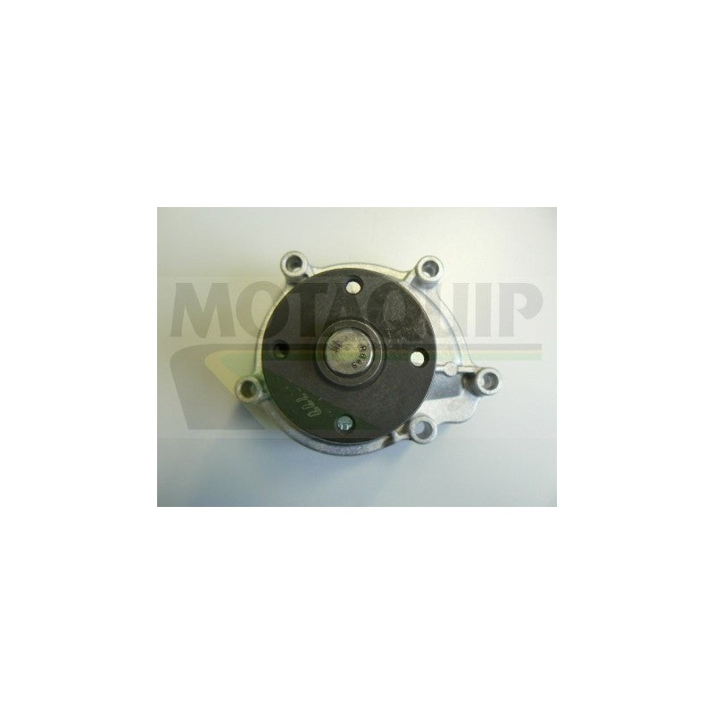 Pompa apa MOTAQUIP VWP853