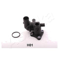 Flansa lichid racire Ashika 125-0H-H01
