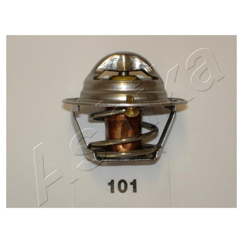 Termostat Ashika 38-01-101