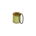 Grila radiator MTR 1717510