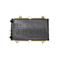 Radiator apa NRF 52035
