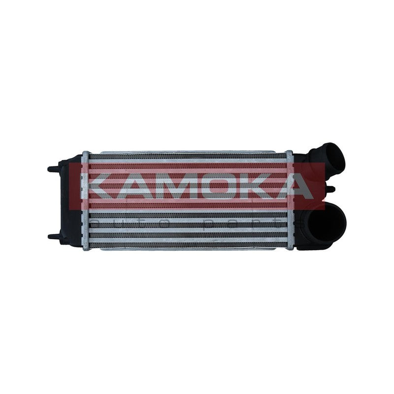 Intercooler KAMOKA 7750147