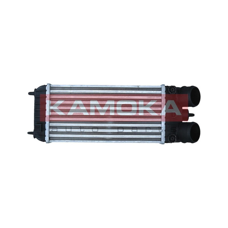 Intercooler KAMOKA 7750145