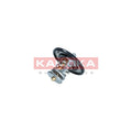 Termostat KAMOKA 7710100
