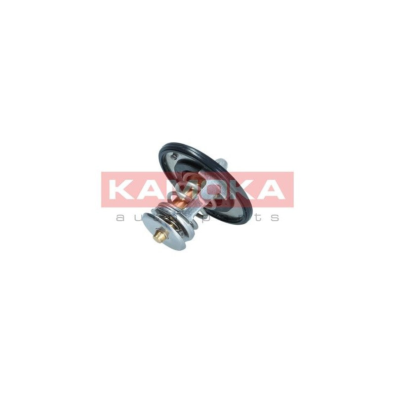Termostat KAMOKA 7710100