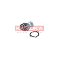 Termostat KAMOKA 7710017