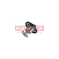 Termostat KAMOKA 7710044