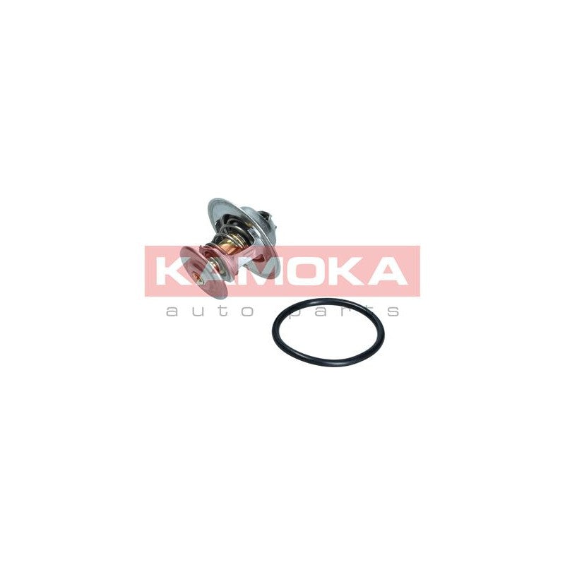 Termostat KAMOKA 7710047