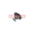 Termostat KAMOKA 7710059