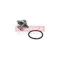 Termostat KAMOKA 7710062