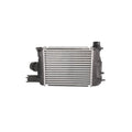 Intercooler MTR 12106314