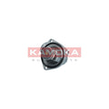 Termostat KAMOKA 7710081