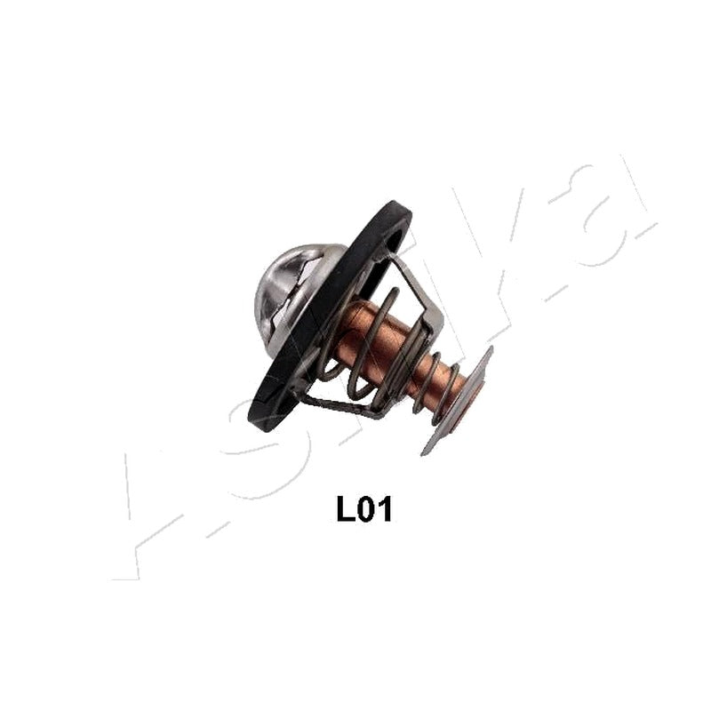 Termostat Ashika 38-0L-L01