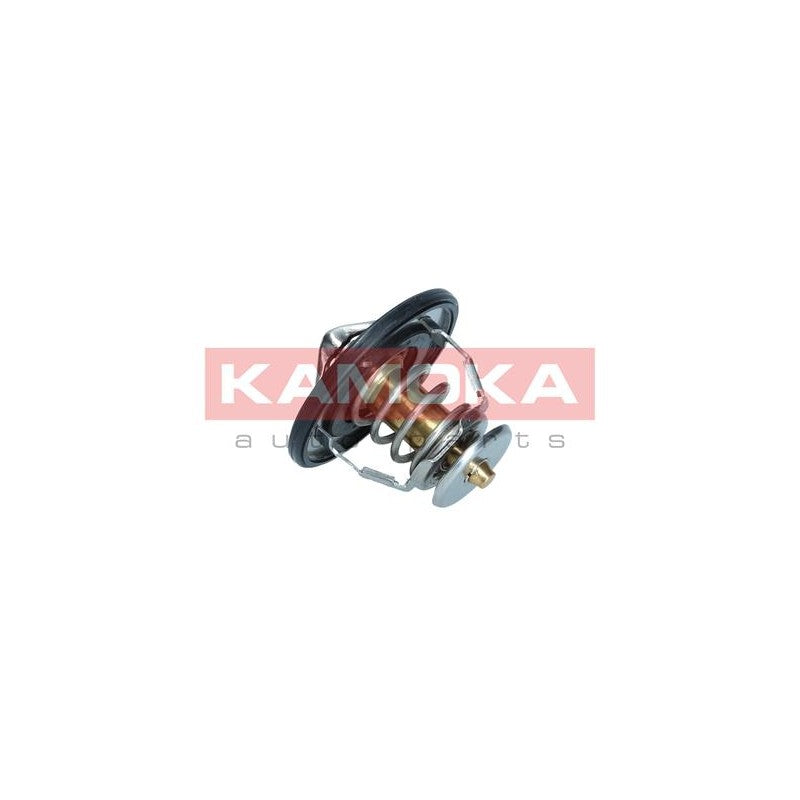 Termostat KAMOKA 7710101