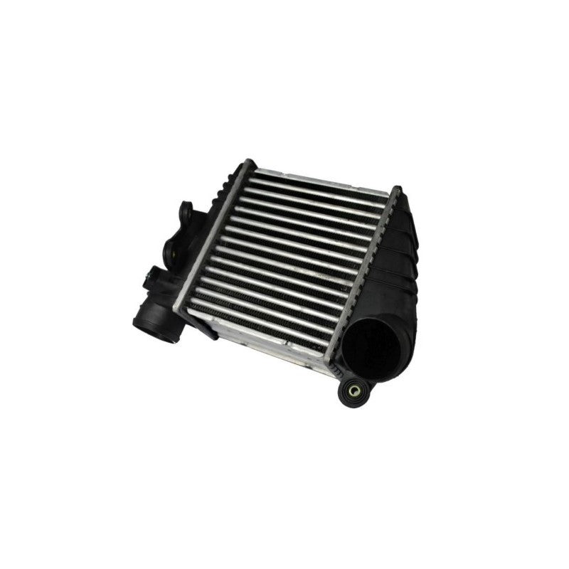 Intercooler MTR 30075790