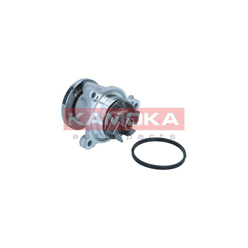 Pompa apa KAMOKA T0310