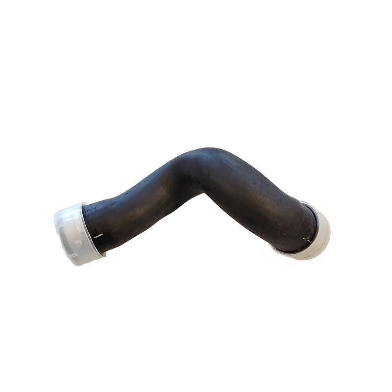 Furtun intercooler BUGIAD 87620