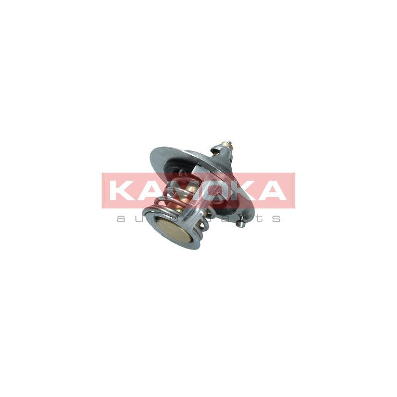 Termostat KAMOKA 7710043