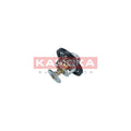 Termostat KAMOKA 7710060