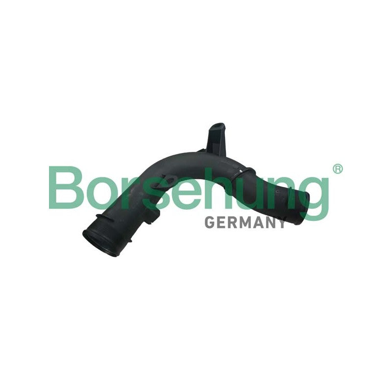 Furtun intercooler BORSEHUNG B12351