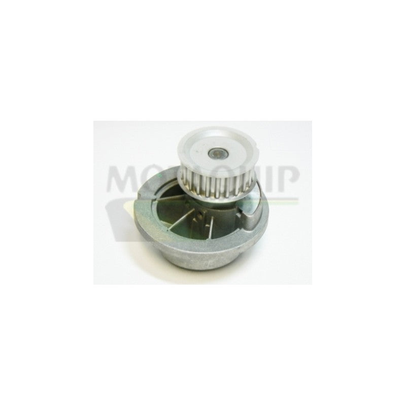 Pompa apa MOTAQUIP VWP828
