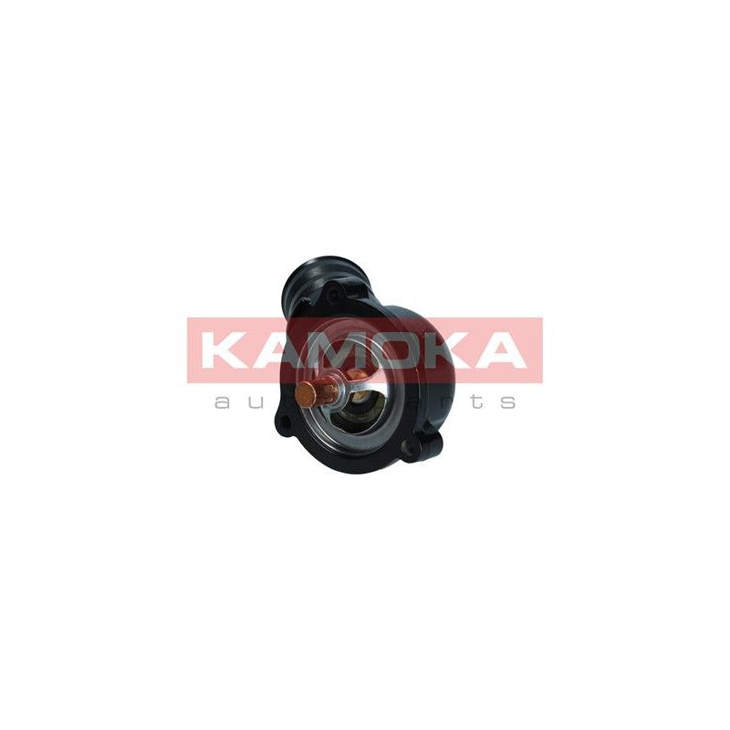 Termostat KAMOKA 7710263
