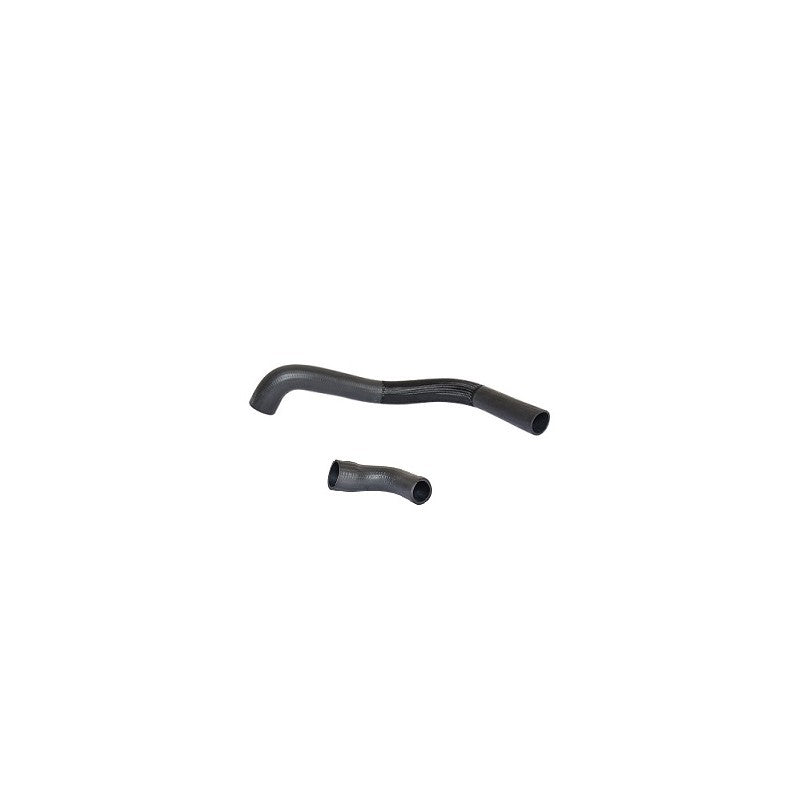 Furtun intercooler BUGIAD 88791