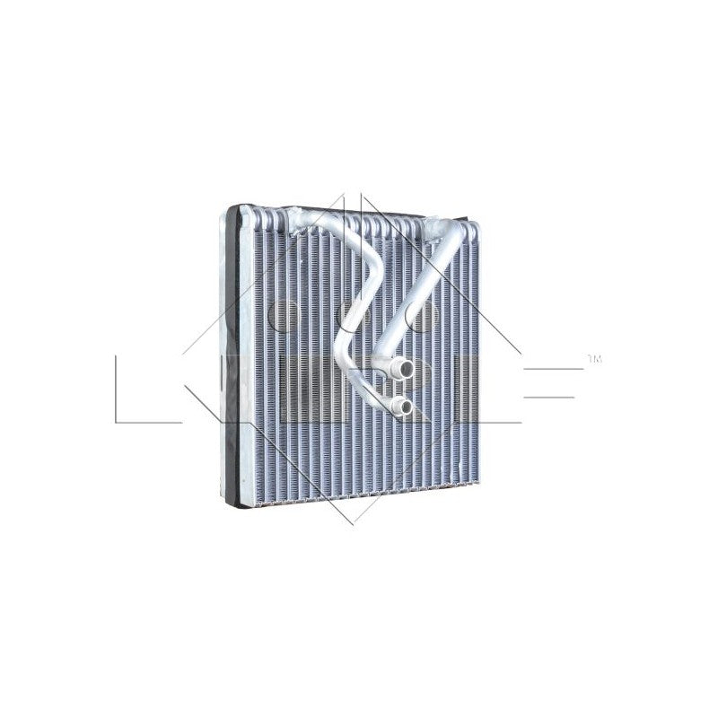 Vaporizator clima NRF 36109